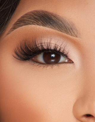 P.Louise Lashes - Alclurus Affair
