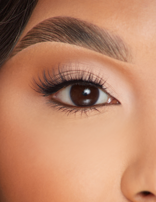 P.Louise Lashes - Ostatnia miłość