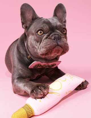 P.Louise bazowa zabawka dla psów