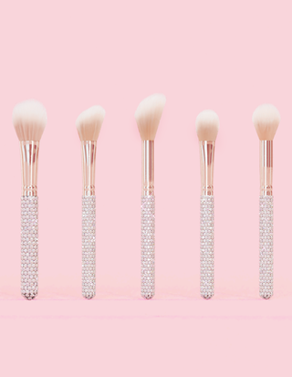 P. Louise Crystal 20 Piece Makeup Brush Bundle