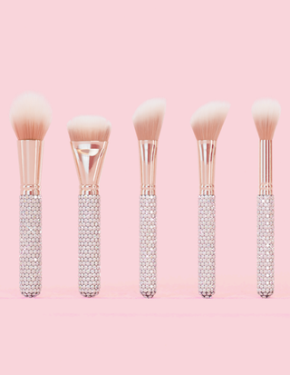 P. Louise Crystal 20 Piece Makeup Brush Bundle